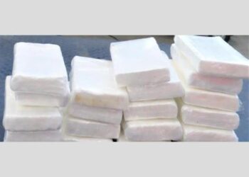 ਕੈਨੇਡਾ: ਸਰੀ ਬਾਰਡਰ ‘ਤੇ 20 ਕਿਲੋ ਸ਼ੱਕੀ ਕੋਕੀਨ ਫੜੀ