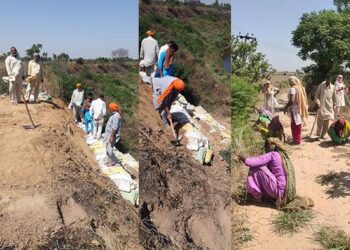 ਸੰਗਰੂਰ : ਪਿੰਡਾਂ ਨੇੜਿਓਂ ਲੰਘਦੇ ਘੱਗਰ ਦੇ ਬੰਨ੍ਹਾਂ ਨੂੰ ਮਜ਼ਬੂਤ ਕਰਨ ਦਾ ਕੰਮ ਜੰਗੀ ਪੱਧਰ ’ਤੇ ਜਾਰੀ