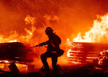 ਫਲੋਰਿਡਾ ’ਚ ਪੋਲਟਰੀ ਫਾਰਮ ਵਿੱਚ ਲੱਗੀ ਅੱਗ ,ਹਜ਼ਾਰਾਂ ਮੁਰਗੀਆਂ ਦੀ ਮੌਤ