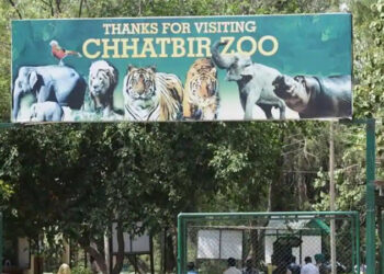 ਛੱਤਬੀੜ ਚਿੜੀਆਘਰ 10 ਦਸੰਬਰ ਤੋਂ ਨਵੇਂ ਦਿਸ਼ਾ-ਨਿਰਦੇਸ਼ਾਂ ਨਾਲ ਸੈਲਾਨੀਆਂ ਲਈ ਦੁਬਾਰਾ ਖੁਲੇਗਾ