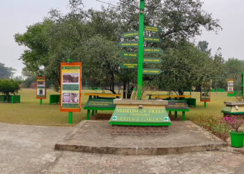 ਮਿਊਜ਼ੀਅਮ ਆਫ਼ ਟ੍ਰੀਜ਼ – ਚੰਡੀਗੜ ਵਿਖੇ ਇੱਕ ਨਵੇਕਲਾ ਵਾਤਾਵਰਨ ਪੱਖੀ ਮੀਲਪੱਥਰ