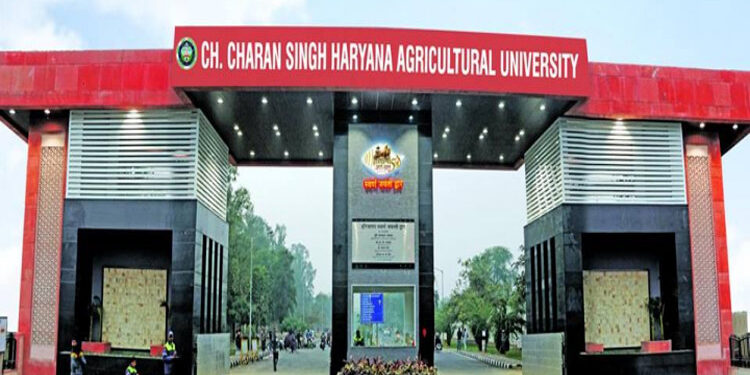 ਸੂਬੇ ਦੀ ਅਨੁਸੂਚਿਤ ਜਾਤੀ ਤੇ ਜਨਜਾਤੀ ਦੀ ਮਹਿਲਾਵਾਂ ਨੂੰ ਆਤਮਨਿਰਭਰ ਬਨਾਉਣ ਤੇ ਸਵੈਰੁਜਗਾਰ ਸਥਾਪਿਤ ਕਰਨ ਲਈ ਪੰਜ ਦਿਨਾਂ ਦੀ ਸਿਖਲਾਈ ਦੀ ਸ਼ੁਰੂਆਤ ਹੋਈ