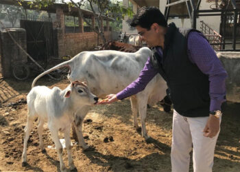 ਗਊ ਸੇਵਾ ਕਮਿਸ਼ਨ ਦੇ ਚੇਅਰਮੈਨ ਵੱਲੋਂ ਸ੍ਰੀ ਗੁਰੂ ਨਾਨਕ ਦੇਵ ਜੀ ਦੇ 551ਵੇਂ ਪ੍ਰਕਾਸ਼ ਪੁਰਬ ਮੌਕੇ ਸੂਬੇ ਦੀਆਂ ਸਾਰੀਆਂ ਗਊਸ਼ਾਲਾਵਾਂ ਦਾ ਲੜੀਵਾਰ ਦੌਰਾ ਸ਼ੁਰੂ