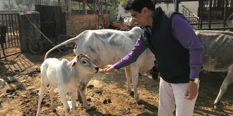 ਗਊ ਸੇਵਾ ਕਮਿਸ਼ਨ ਦੇ ਚੇਅਰਮੈਨ ਵੱਲੋਂ ਸ੍ਰੀ ਗੁਰੂ ਨਾਨਕ ਦੇਵ ਜੀ ਦੇ 551ਵੇਂ ਪ੍ਰਕਾਸ਼ ਪੁਰਬ ਮੌਕੇ ਸੂਬੇ ਦੀਆਂ ਸਾਰੀਆਂ ਗਊਸ਼ਾਲਾਵਾਂ ਦਾ ਲੜੀਵਾਰ ਦੌਰਾ ਸ਼ੁਰੂ