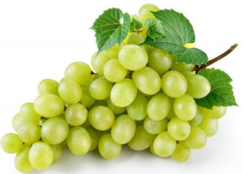 ਹਾਰਟ ਅਟੈਕ ਤੇ ਸ਼ੂਗਰ ਦੇ ਰੋਗਾਂ ਤੋਂ ਨਿਜ਼ਾਤ ਪਾਉਣ ਲਈ ਖਾਓ ‘ਹਰੇ ਅੰਗੂਰ’,