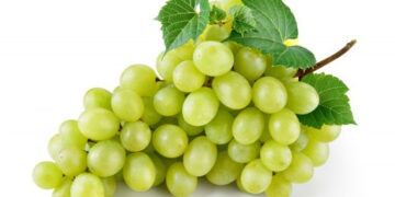 ਹਾਰਟ ਅਟੈਕ ਤੇ ਸ਼ੂਗਰ ਦੇ ਰੋਗਾਂ ਤੋਂ ਨਿਜ਼ਾਤ ਪਾਉਣ ਲਈ ਖਾਓ ‘ਹਰੇ ਅੰਗੂਰ’,