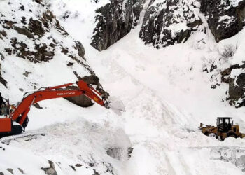 ਉਤਰਾਖੰਡ ਚ ਹੜ੍ਹ ਦੀ ਸਥਿਤੀ ਤੇ ਸ਼ਾਹ ਦੀ ਨਜ਼ਰ, ਦਿੱਲੀ ਤੋਂ ਭੇਜੀਆਂ NDRF ਦੀਆਂ ਟੀਮਾਂ