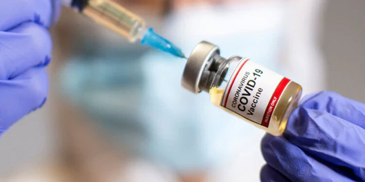 ਅਮਰੀਕਾ: ਸੈਨ ਡਿਏਗੋ ਚਿੜੀਆਘਰ ਵਿੱਚ ਗੋਰਿੱਲਿਆਂ ਨੂੰ ਲਾਏ ਗਏ ਕੋਰੋਨਾ ਦੇ ਟੀਕੇ