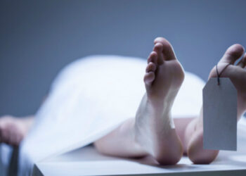 ਲੁਕਣ ਮੀਚੀ ਖੇਡਦੇ 5 ਬੱਚਿਆਂ ਦੀ ਕਣਕ ਦੇ ਢੋਲ ਵਿੱਚ ਵੜਣ ਕਾਰਨ ਦਮ ਘੁੱਟਣ ਨਾਲ ਮੌਤ