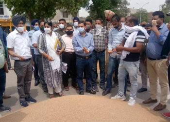 ਪੰਜਾਬ ਦੀਆਂ ਮੰਡੀਆਂ ਵਿੱਚ ਹੁਣ ਤੱਕ ਪਹੁੰਚੀ ਕਣਕ ਦੀ 86 ਫੀਸਦੀ ਖਰੀਦ ਹੋਈ, ਸੰਗਰੂਰ ਮੋਹਰੀ