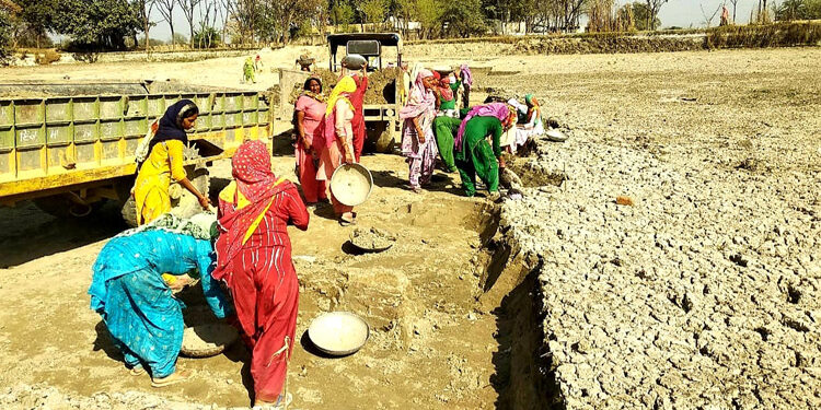 ਪੰਜਾਬ ਸਰਕਾਰ ਵੱਲੋਂ ਛੱਪੜਾਂ ਦੀ ਸਫ਼ਾਈ ਲਈ ਸਮਾਰਟ ਪਿੰਡ ਮੁਹਿੰਮ ਦੀ ਸ਼ੁਰੂਆਤ