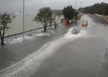 ਨਿਊਜ਼ੀਲੈਂਡ ਵਿੱਚ ਹੜ੍ਹ ਕਾਰਨ ਐਮਰਜੈਂਸੀ ਘੋਸ਼ਿਤ, ਸੈਂਕੜੇ ਵਿਅਕਤੀਆਂ ਨੂੰ ਸੁਰੱਖਿਅਤ ਕੱਢਿਆ