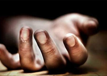 ਮਹਾਰਾਸ਼ਟਰ ਵਿੱਚ ਖੱਡ ਵਿੱਚ ਗੱਡੀ ਡਿੱਗਣ ਨਾਲ 8 ਵਿਅਕਤੀਆਂ ਦੀ ਮੌਤ