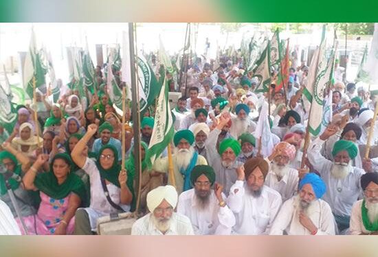 5 ਸਤੰਬਰ ਦੀ ਮੁਜ਼ੱਫਰਨਗਰ ਮਹਾਂ-ਪੰਚਾਇਤ ਲਈ ਠੋਸ ਵਿਉਂਤਬੰਦੀ ਕੀਤੀ, ਕਿਸਾਨਾਂ ‘ਚ ਸ਼ਮੂਲੀਅਤ ਲਈ ਭਾਰੀ ਉਤਸ਼ਾਹ