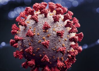 ਨਿਊਜ਼ੀਲੈਂਡ ’ਚ ਅੱਜ ਹੋਰ ਨਵੇਂ ਕੋਰੋਨਾ ਕੇਸ ਸਾਹਮਣੇ ਆਏ