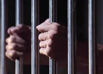 ਅਮਰੀਕਾ ਵਿੱਚ ਧੋਖਾਧੜੀ ਦੇ ਦੋਸ਼ ਵਿੱਚ ਭਾਰਤੀ ਨਾਗਰਿਕ ਨੂੰ 22 ਸਾਲ ਦੀ ਕੈਦ