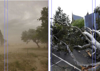 ਆਸਟ੍ਰੇਲੀਆ ਵਿੱਚ ਤੇਜ਼ ਹਵਾਵਾਂ ਕਾਰਨ ਦਰੱਖਤ ਟੁੱਟੇ, ਘਰਾਂ ਦੀ ਬਿਜਲੀ ਗੁੱਲ