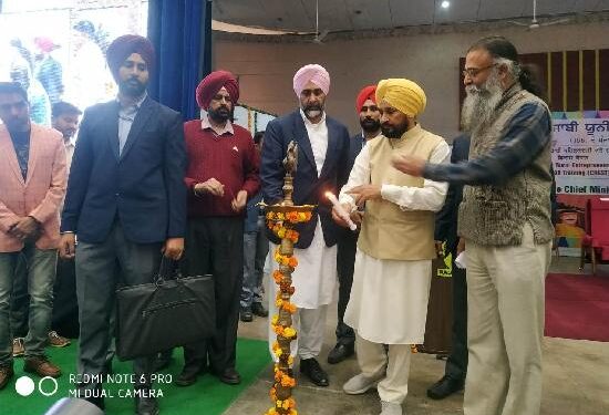 ਪੰਜਾਬੀ ਯੂਨੀਵਰਸਿਟੀ ਦਾ 150 ਕਰੋੜ ਦਾ ਕਰਜ਼ਾ ਸਰਕਾਰ ਭਰੇਗੀ