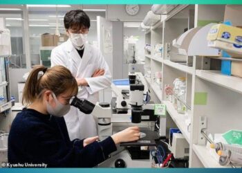 5 ਸਾਲਾਂ ਅੰਦਰ 100% ਪ੍ਰਯੋਗਸ਼ਾਲਾ ਵਿੱਚ ਪੈਦਾ ਹੋਣਗੇ ਬੱਚੇ: ਜਾਪਾਨੀ ਖੋਜਕਰਤਾ ਮਨੁੱਖੀ ਅੰਡੇ ਅਤੇ ਸ਼ੁਕ੍ਰਾਣੂ ਬਣਾਉਣ ਦੀ ਕੋਸ਼ਿਸ਼ ਵਿੱਚ ਹਨ