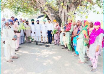 ਗ੍ਰਾਂਮ ਪੰਚਾਇਤ ਮਿੱਠੇਵਾਲ ਨੇ ਸੜਕ ਤੇ 250 ਪੌਦੇ ਲਗਾਏ