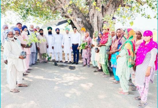 ਗ੍ਰਾਂਮ ਪੰਚਾਇਤ ਮਿੱਠੇਵਾਲ ਨੇ ਸੜਕ ਤੇ 250 ਪੌਦੇ ਲਗਾਏ