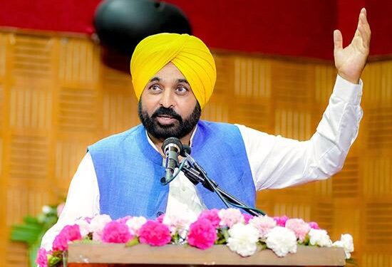 ਮੈਨੂੰ ‘ਪਾਗਲ’ ਕਹਿਣਾ ਚਾਹੁੰਣੇ ਹੋ ਤਾਂ ਜੀਅ ਸਦਕੇ ਕਹੋ ਕਿਉਂਕਿ ਮੇਰੇ ਉਤੇ ਲੋਕਾਂ ਦੀ ਮੁਹੱਬਤ ਦਾ ‘ਪਾਗਲਪਣ’ ਸਵਾਰ ਹੈ – ਮਾਨ