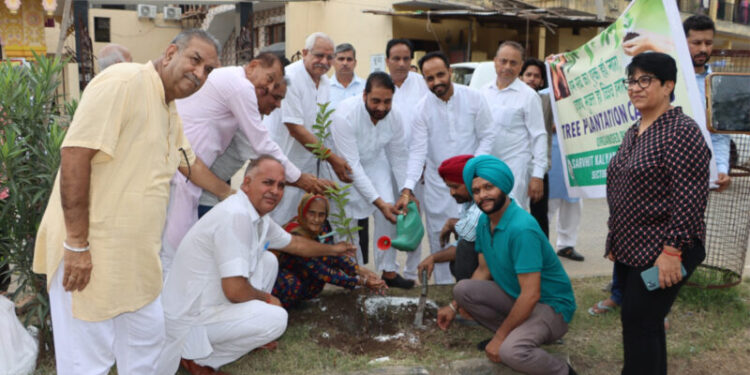 ਵਾਤਾਵਰਣ ਨੂੰ ਸੁੱਧ ਰੱਖਣ ਲਈ ਬੂਟੇ ਲਗਾਏ