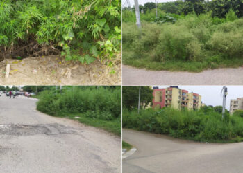 ਸੈਕਟਰ-66 ਵਿੱਚ ਸੜਕਾਂ ਦੀ ਹਾਲਤ ਮਾੜੀ, ਸੜਕਾਂ ਕਿਨਾਰੇ ਖੜ੍ਹੀ ਕਾਂਗਰਸ ਘਾਹ ਦੀਆਂ ਝਾੜੀਆਂ ਕਾਰਨ ਵਾਪਰਦੇ ਹਨ ਹਾਦਸੇ ਟੁੱਟੀਆਂ ਸੜਕਾਂ ਅਤੇ ਸੜਕਾਂ ਕਿਨਾਰੇ ਪਏ ਪਾੜ ਕਾਰਨ ਵਾਹਨ ਚਾਲਕ ਹੁੰਦੇ ਹਨ ਪਰੇਸ਼ਾਨ