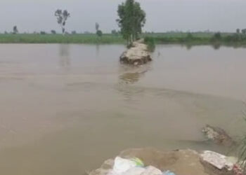 ਤਰਨ ਤਾਰਨ: ਬਰਸਾਤੀ ਪਾਣੀ ਦੀ ਨਿਕਾਸੀ ਨਾ ਹੋਣ ਕਾਰਨ 100 ਏਕੜ ਫ਼ਸਲ ਖ਼ਰਾਬ