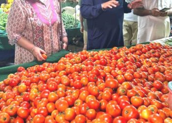 ਕੰਜਿਊਮਰਜ਼ ਪ੍ਰੋਟੈਕਸ਼ਨ ਫੈਡਰੇਸ਼ਨ ਵੱਲੋਂ ਸੈਕਟਰ 71 ਆਪਣੀ ਮੰਡੀ ਵਿੱਚ ਖਪਤਕਾਰਾਂ ਨੂੰ ਜਾਗਰੂਕ ਕੀਤਾ ਗਿਆ