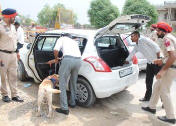 ਨਸ਼ਾ ਤਸਕਰੀ, ਸ਼ਰਾਬ ਦੀ ਤਸਕਰੀ ਨੂੰ ਠੱਲ੍ਹ ਪਾਉਣ ਲਈ ਸਰਹੱਦੀ ਜ਼ਿਲ੍ਹਿਆਂ ਵਿੱਚ ਚਾਰ ਰਾਜਾਂ ਸਣੇ ਚੰਡੀਗੜ੍ਹ ਪੁਲਿਸ ਨਾਲ ਮਿਲ ਕੇ ਚਲਾਇਆ ‘ਆਪ੍ਰੇਸ਼ਨ ਸੀਲ-3’