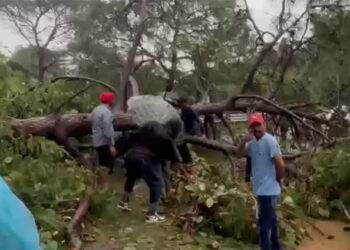 ਮਾਤਾ ਚਿੰਤਪੂਰਨੀ ਨੈਸ਼ਨਲ ਹਾਈਵੇ ਤੇ ਦਰਖਤ ਡਿੱਗਣ ਕਾਰਨ ਆਵਾਜਾਈ ਬੰਦ