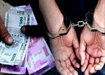 8,000 ਰੁਪਏ ਰਿਸ਼ਵਤ ਲੈਂਦਾ ਬਿਜਲੀ ਮੁਲਾਜ਼ਮ ਵਿਜੀਲੈਂਸ ਵੱਲੋਂ ਰੰਗੇ ਹੱਥੀਂ ਕਾਬੂ