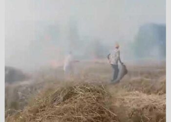 ਪੰਜਾਬ ਸਰਕਾਰ ਦੇ ਆਦੇਸ਼ਾਂ ਦੀਆਂ ਉਡਾਈਆਂ ਜਾ ਰਹੀਆਂ ਹਨ ਧੱਜੀਆਂ, ਸ਼ਰੇਆਮ ਪਰਾਲੀ ਨੂੰ ਲਾਈ ਜਾ ਰਹੀ ਹੈ ਅੱਗ