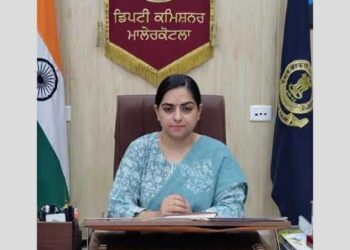 ਮਾਲੇਰਕੋਟਲਾ: ਗਰੀਨ ਪਟਾਕੇ ਚਲਾਉਣ ਸਬੰਧੀ ਦਿਸ਼ਾ ਨਿਰਦੇਸ਼ ਜਾਰੀ