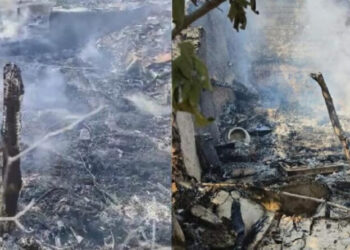 ਕੋਬਰਾ ਨੂੰ ਭਜਾਉਣ ਲਈ ਘਰ ਵਿੱਚ ਲਗਾਈ ਅੱਗ ਕਾਰਨ ਘਰ ਸੜ ਕੇ ਹੋਇਆ ਸੁਆਹ