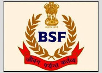 ਬੀ ਐਸ ਐਫ ਵੱਲੋਂ ਤਰਨਤਾਰਨ ਵਿਚ ਚੀਨ ਦਾ ਬਣਿਆ ਡਰੋਨ ਬਰਾਮਦ