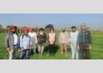 ਨਦੀਨਨਾਸ਼ਕਾਂ ਦੇ ਛਿੜਕਾਅ ਕਰਨ ਸਮੇਂ ਕੱਟ ਵਾਲੀ ਨੋਜ਼ਲ ਦੀ ਉਚਾਈ ਫਸਲ ਤੋਂ ਤਕਰੀਬਨ ਡੇਢ ਫੁੱਟ ਰੱਖੋ : ਡਾ. ਅਮਰੀਕ ਸਿੰਘ