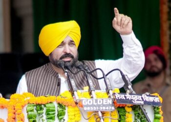 ਕੌਮੀ ਆਜ਼ਾਦੀ ਸੰਘਰਸ਼ ਵਿੱਚ ਪੰਜਾਬ ਦਾ ਸਭ ਤੋਂ ਵੱਧ ਯੋਗਦਾਨ-ਮੁੱਖ ਮੰਤਰੀ