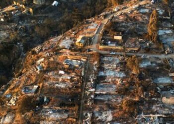 ਚਿੱਲੀ ਦੇ ਜੰਗਲਾਂ ਵਿੱਚ ਅੱਗ ਲੱਗਣ ਕਾਰਨ ਹੁਣ ਤੱਕ 123 ਵਿਅਕਤੀਆਂ ਦੀ ਮੌਤ