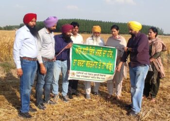 ਏ ਡੀ ਸੀ ਨੇ ਸਰਫੇਸ ਸੀਡਰ ਮਸ਼ੀਨ ਨਾਲ ਬੀਜੀ ਕਣਕ ਦੀ ਫਸਲ ਦਾ ਨਿਰੀਖਣ ਕੀਤਾ