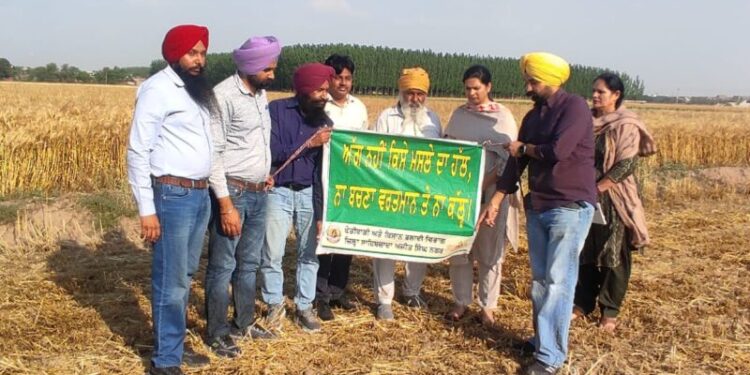 ਏ ਡੀ ਸੀ ਨੇ ਸਰਫੇਸ ਸੀਡਰ ਮਸ਼ੀਨ ਨਾਲ ਬੀਜੀ ਕਣਕ ਦੀ ਫਸਲ ਦਾ ਨਿਰੀਖਣ ਕੀਤਾ