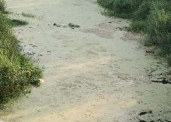 ਫੇਜ਼ 9 ਦੇ ਨਾਲੇ ਵਿੱਚੋਂ ਉਠਦੀ ਬਦਬੂ ਅਤੇ ਮੱਛਰਾਂ ਕਾਰਨ ਫੇਜ਼ 9 ਦੇ ਵਸਨੀਕ ਪਰੇਸ਼ਾਨ