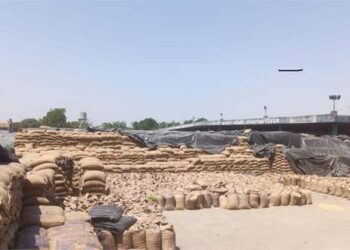 ਮੰਡੀਆਂ ’ਚ ਹੁਣ ਤੱਕ ਪਹੁੰਚੀ ਸਾਰੀ 270434 ਮੀਟ੍ਰਿਕ ਟਨ ਕਣਕ ਦੀ ਹੋਈ ਖ਼ਰੀਦ