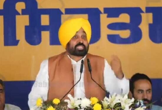 ਆਪਣੀ ਹਾਰ ਹੁੰਦੀ ਦੇਖ ਬੌਖਲਾਏ BJP ਵਾਲੇ : ਭਗਵੰਤ ਮਾਨ