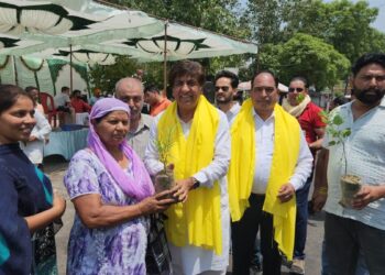 ਬ੍ਰਮ ਸ਼ੰਕਰ ਜਿੰਪਾ ਨੇ ਛਬੀਲ ਦੌਰਾਨ ਰਾਹਗੀਰਾਂ ਨੂੰ ਕੀਤੀ ਬੂਟਿਆਂ ਦੀ ਵੰਡ