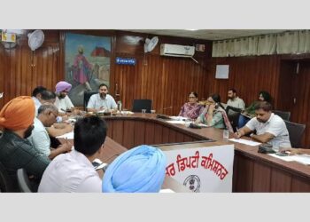 ਸ੍ਰੀ ਮੁਕਤਸਰ ਸਾਹਿਬ: ਛੱਪੜਾਂ ਦੇ ਗੰਦੇ ਪਾਣੀ ਦੀ ਨਿਕਾਸੀ ਲਈ ਬਿਜਲੀ ਦੀਆਂ ਮੋਟਰਾਂ ਹੋਣੀਆਂ ਚਾਹੀਦੀਆਂ ਹਨ ਚਾਲੂ ਹਾਲਤ ਵਿੱਚ- DC