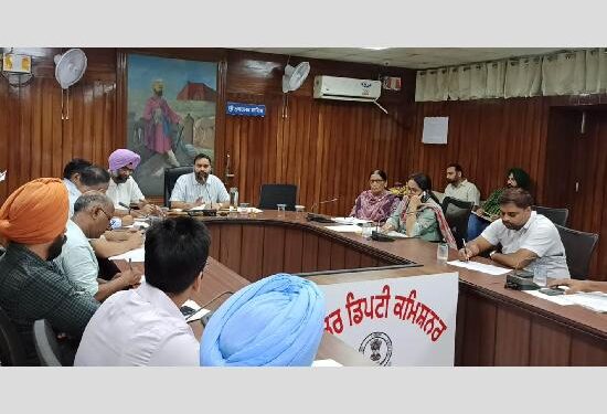 ਸ੍ਰੀ ਮੁਕਤਸਰ ਸਾਹਿਬ: ਛੱਪੜਾਂ ਦੇ ਗੰਦੇ ਪਾਣੀ ਦੀ ਨਿਕਾਸੀ ਲਈ ਬਿਜਲੀ ਦੀਆਂ ਮੋਟਰਾਂ ਹੋਣੀਆਂ ਚਾਹੀਦੀਆਂ ਹਨ ਚਾਲੂ ਹਾਲਤ ਵਿੱਚ- DC