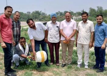 ਹਰਿਆਵਲ ਮੁਹਿੰਮ ਤਹਿਤ ਅਨਾਜ ਮੰਡੀਆਂ ਵਿੱਚ ਬੂਟੇ ਲਗਾਉਣ ਦੀ ਮੁਹਿੰਮ ਸ਼ੁਰੂ