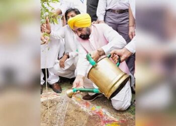 CM ਭਗਵੰਤ ਮਾਨ ਵੱਲੋਂ ਬੂਟੇ ਲਾਉਣ ਦੀ ਮੁਹਿੰਮ ਨੂੰ ਲੋਕ ਲਹਿਰ ਬਣਾਉਣ ਦਾ ਸੱਦਾ
